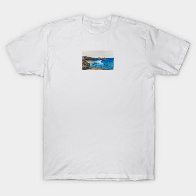 Cornwall Coast T-Shirt by bobpetcher